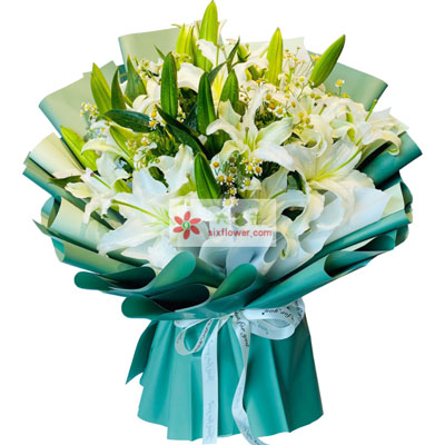 梧州8支白色多头百合洋甘菊，如潮的思念